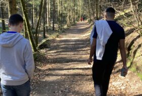 Sortie en forêt et cohésion de groupe